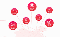郑州app开发公司：美容app开发投资前景怎么样