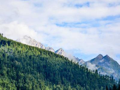 郑州APP开发多少钱